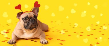 Sarı arka planda şirin bir bulldog ve mesaj için yeri var. Sevgililer Günü kutlaması