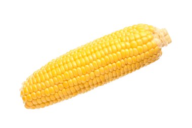 Beyaz arkaplanda taze mısır koçanı