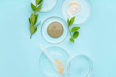 Mavi arka planda örnekler, spatula ve bitki yaprakları bulunan petri kapları