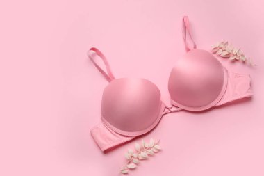 Pembe arka planda şık sütyen ve kurumuş bitki dalları