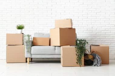 Taşındığı gün beyaz tuğla duvarın yanında karton kutular ve bitkilerle dolu bir kanepe.