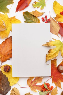 Beyaz arkaplanda boş kartıyla güzel sonbahar kompozisyonu