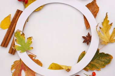 Kağıt çemberinden yapılmış çerçeve ve beyaz arkaplanda sonbahar dekoru