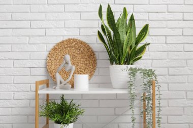 Tuvalet kağıdı, ev bitkileri ve dekorasyonlu raf ünitesi şık bir banyonun içinde, yakın plan.