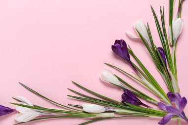 Pembe arka planda güzel kır çiçekleri