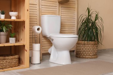 Tuvaleti, rafı ve bitkileri olan modern tuvaletin şık bir iç mekanı.