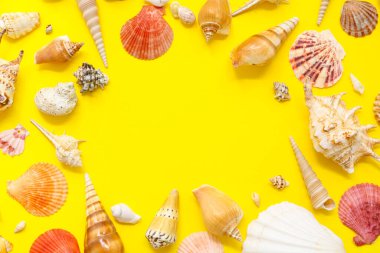 Sarı zemin üzerinde farklı deniz kabuklarından yapılmış çerçeve