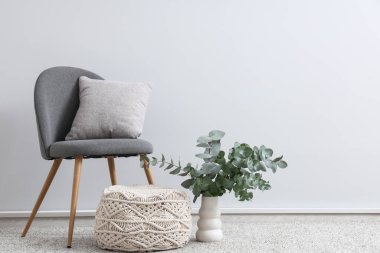 Okaliptüs dallı sandalye ve vazo. Beyaz duvarın yanında, odada.