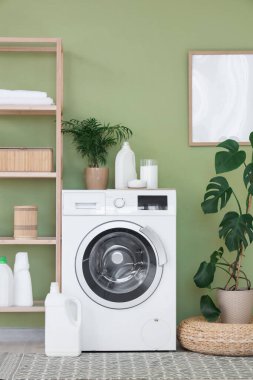 Çamaşır odasındaki yeşil duvarın yanında raf ünitesi, ev bitkileri ve deterjanları olan modern çamaşır makinesi.