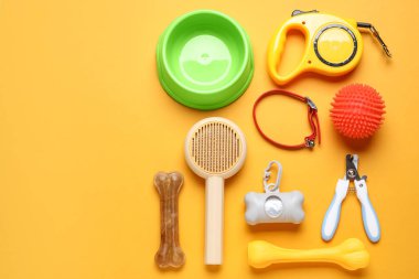 Yemek kasesi ve turuncu arka planda farklı evcil hayvan aksesuarları.