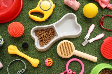 Kemik şeklinde yemek kasesi ve yeşil çimenlerin üzerinde farklı hayvan aksesuarları.