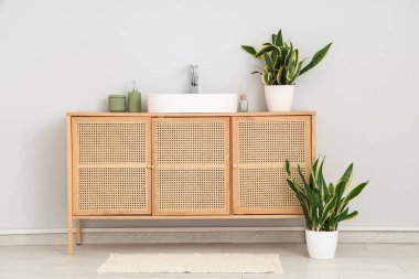 Lavabo ve Sansevieria bitkileriyle dolu bir sandık.