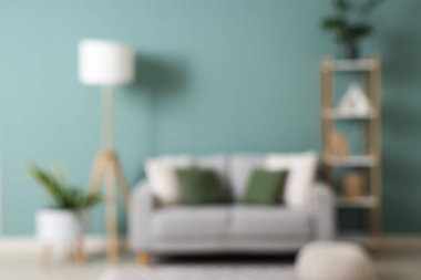 Gri kanepesi, raf ünitesi ve lambasıyla şık oturma odasının bulanık görüntüsü