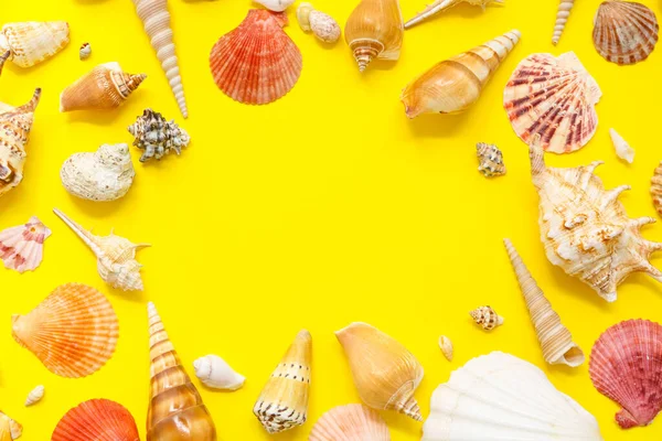 Sarı zemin üzerinde farklı deniz kabuklarından yapılmış çerçeve