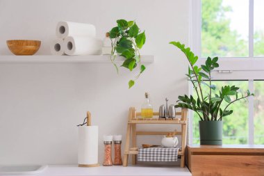 Kağıt havlu rulosu ve mutfak tezgahında baharatlar