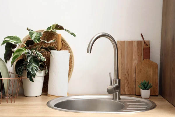 Mutfaktaki tezgahın üzerinde lavabo ve bitki olan kağıt havlular.