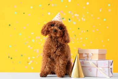 Parti şapkalı sevimli kaniş köpeği hediye kutuları ve sarı arka planda konfeti.