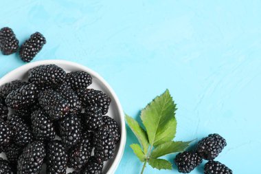 Mavi arka planda olgun böğürtlenli kase, yakın plan