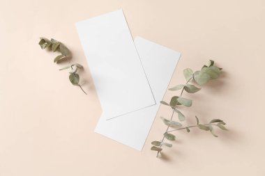 Bej arkaplanda kurumuş okaliptüs dalları ve boş kartlarla kompozisyon