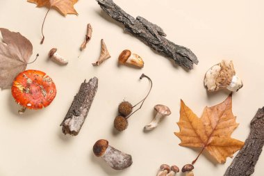 Mantarlı kompozisyon, ağaç kabuğu ve bej arka planda sonbahar yaprakları