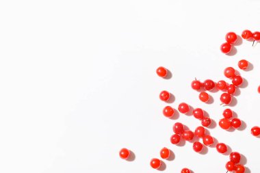 Beyaz arka planda taze viburum meyveleri, yakın plan.