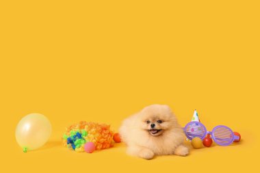 Hava balonlu ve komik maskeli şirin Pomeranya köpekleri. Sarı arka planda 1 Nisan kutlamaları.
