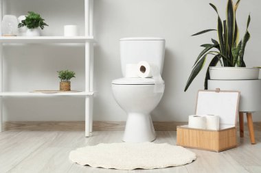 İçinde klozet, raf ünitesi ve bitkiler olan ışık tuvaleti.