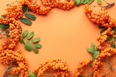 Çerçeve olgun kızılcık böğürtlenleri ve turuncu arka planda yapraklardan yapılmış, yakın plan.