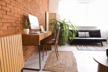 Modern işyeri, kanepe ve yeşil ev bitkileriyle ofis içi