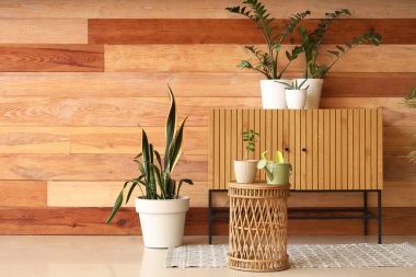 Masada klozet, bitki ve bahçe aletleri bulunan atölyenin içi