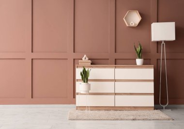 Klozeti, lambası ve bitkileri olan şık bir oturma odası.