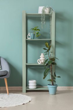 Oturma odasının iç tarafındaki nane duvarının yanında saksısı olan raf ünitesi, yakın plan.