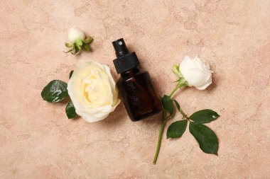 Beyaz gül çiçekleri ve bej grunge arka planda bir şişe kozmetik ürünü olan kompozisyon, yakın plan.