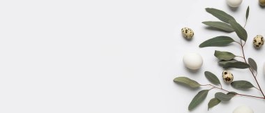 Beyaz arkaplanda yumurta ve ağaç dalı ve metin için boşluk. Paskalya kutlaması