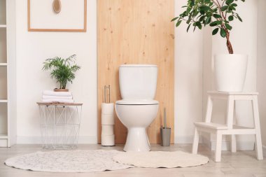 Tuvalet klozeti, kağıt rulo ve bitkilerle dolu bir tuvaletin içinde.