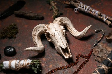 Şaman 'ın aksesuarları, arka planda koyun kafatası ve otlar.