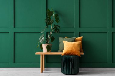 Dekoratif yastıklı ahşap bank, palmiye ağacı ve oda yeşil duvarın yanında puf.