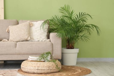 Ev bitkileriyle süslü hasır puf ve oturma odasındaki yeşil duvarın yanındaki rahat kanepe.
