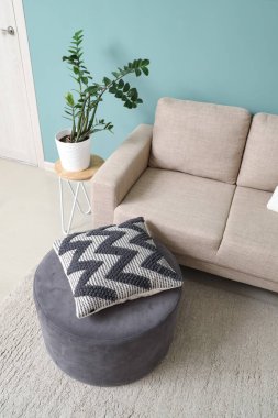 Oturma odası, kanepe, puf ve bitki, üst manzara.