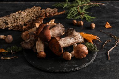 Tray with fresh mushrooms on black grunge table, closeup