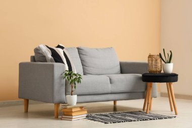 Rahat kanepesi, taburesi, kitapları ve çiçekleri olan bir oturma odası.