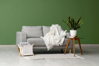 Rahat kanepe, masa, ev bitkisi ve dergi tutacağı olan oturma odasının içinde.