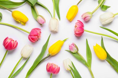 Beyaz arka planda güzel lale çiçekleri