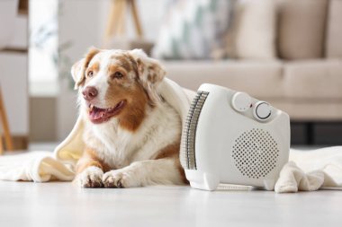 Australian Shepherd dog with plaid and electric heater lying on floor at home