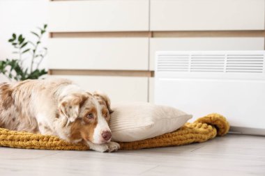 Australian Shepherd dog lying on plaid near electric convector heater at home