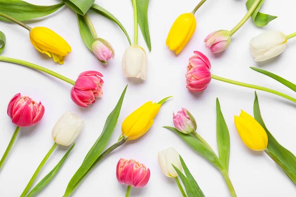 Beyaz arka planda güzel lale çiçekleri