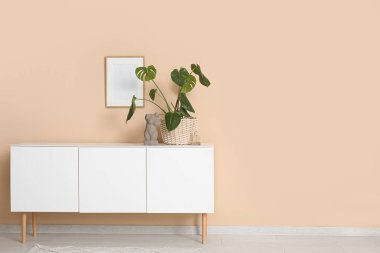 Oturma odasında saksısı olan çekmeceler.