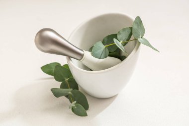 Mortar with pestle and eucalyptus branches on white background