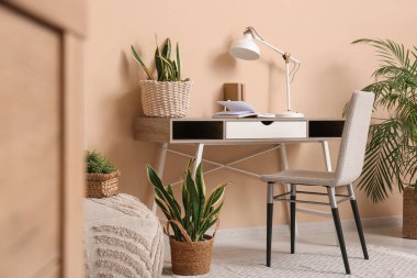 Çalışma odası ve hasır sepetlerde bitkiler.