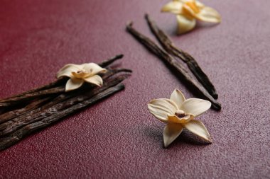 Renkli arkaplanda çiçek ve vanilyalı kompozisyon